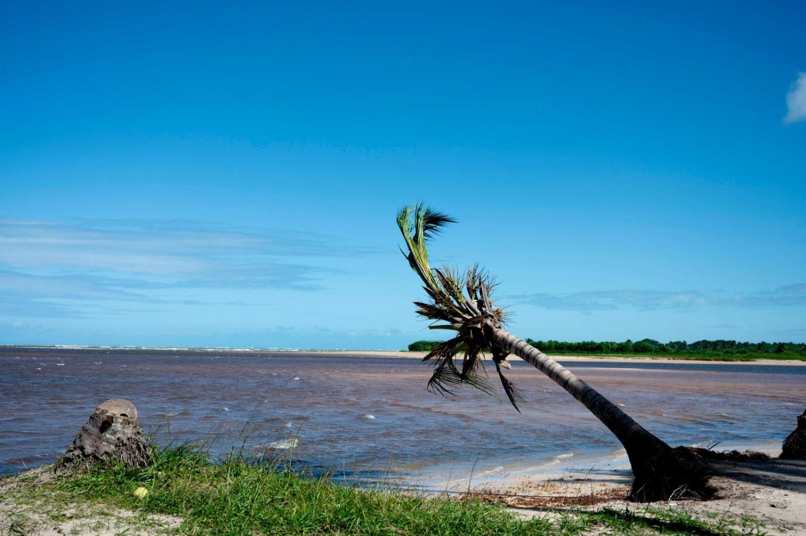 Bangalo Verde Recanto Uana - 280M Praia Tatuamunha Maceió Exteriör bild