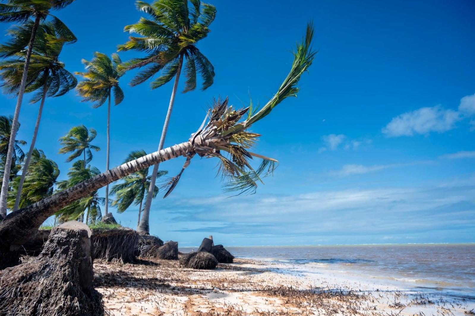 Bangalo Verde Recanto Uana - 280M Praia Tatuamunha Maceió Exteriör bild